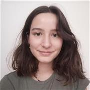 Cours particuliers d'anglais sur Toulouse niveau primaire collège